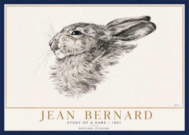 Jean Bernard Study of a Hare No3 - Affiche