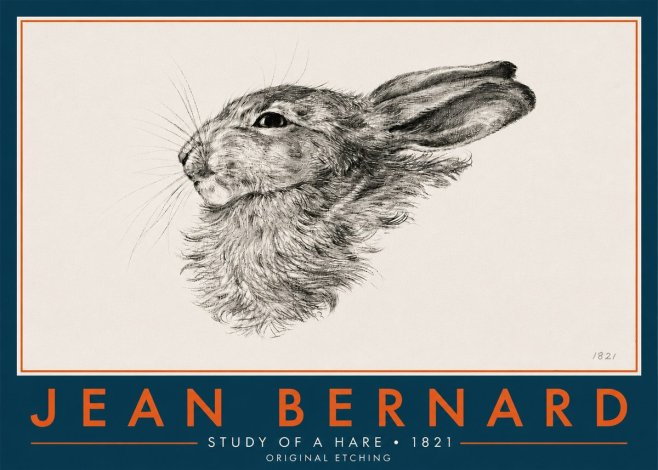 Jean Bernard Study of a Hare No6 - Affiche