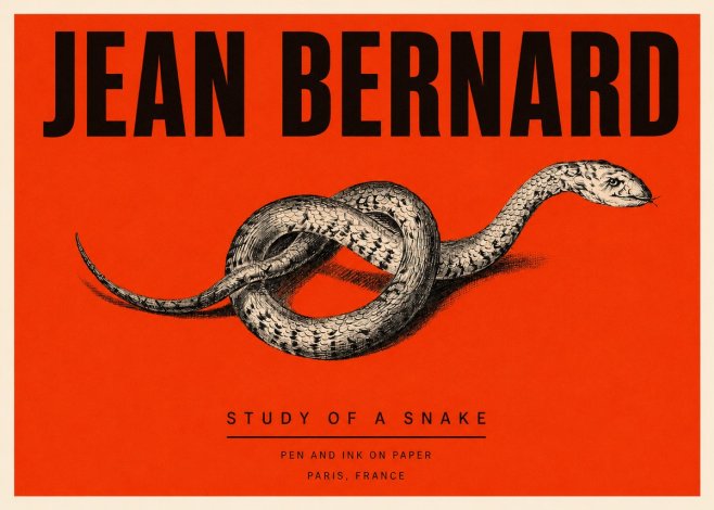 Jean Bernard Study of a Snake No3 - Affiche