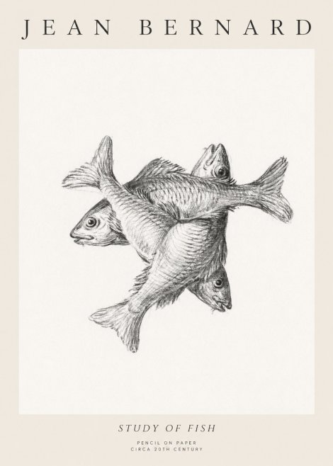 Jean Bernard Study of Fish No1 - Affiche