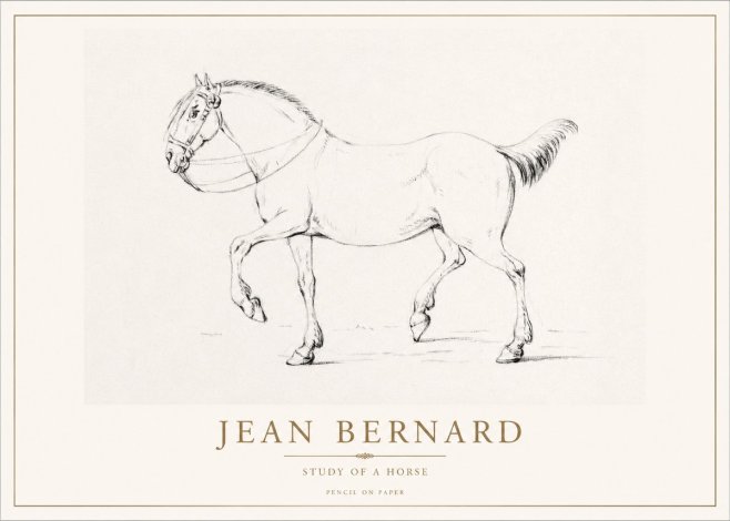 Jean Bernard Study of a Horse XVI No1 - Affiche