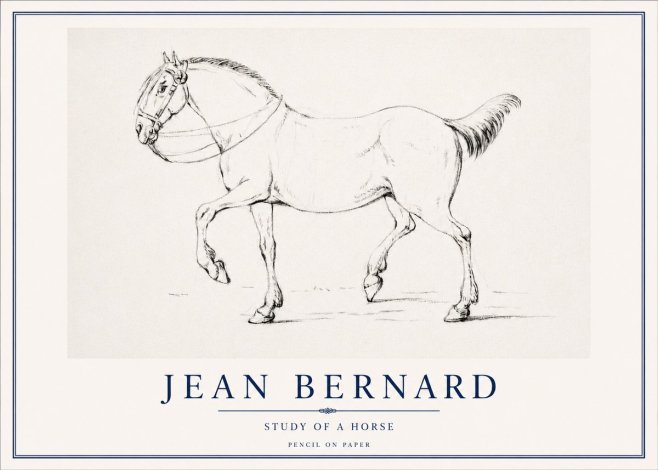 Jean Bernard Study of a Horse XVI No3 - Affiche