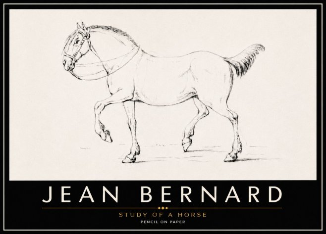 Jean Bernard Study of a Horse XVI No6 - Affiche