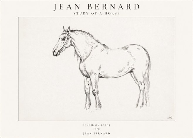 Jean Bernard Study of a Horse XVII No1 - Affiche