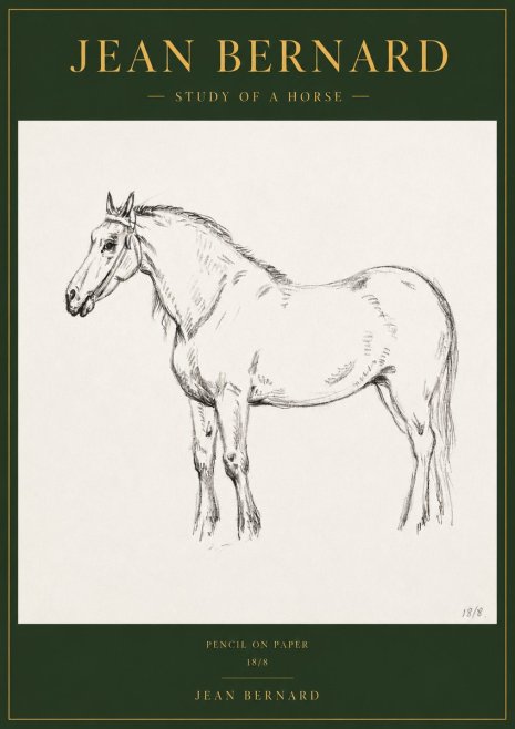 Jean Bernard Study of a Horse XVII No3 - Affiche