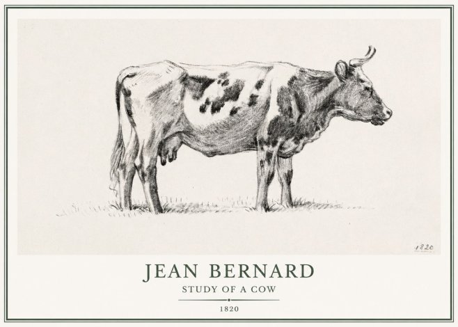 Jean Bernard Study of a Cow XX No1 - Affiche