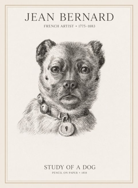 Jean Bernard Study of a Dog IV No1 - Affiche