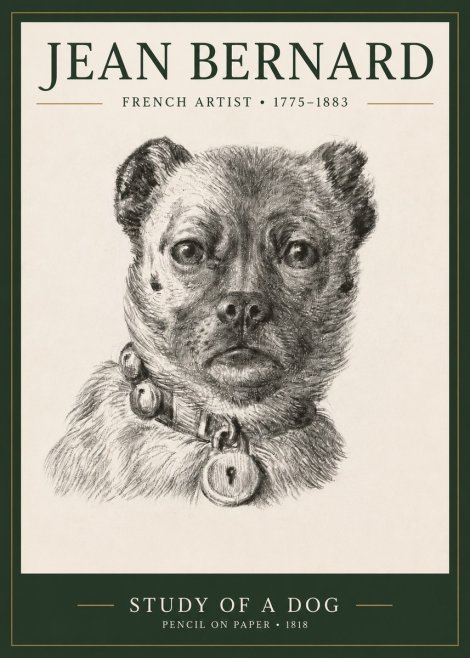 Jean Bernard Study of a Dog IV No3 - Affiche