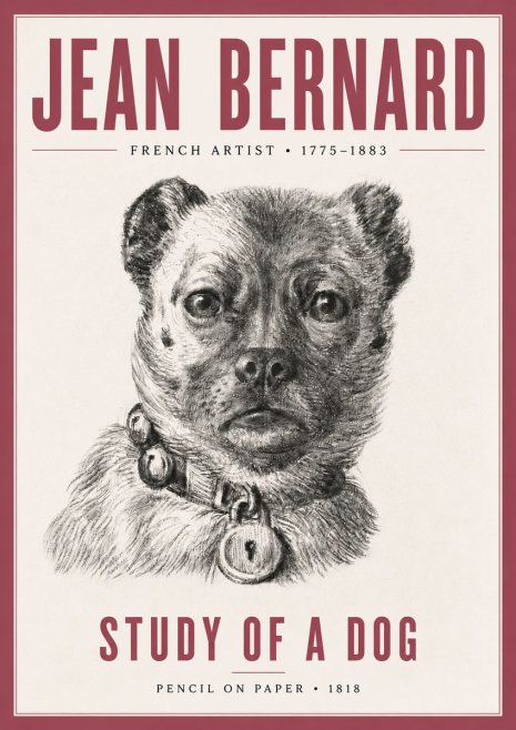 Jean Bernard Study of a Dog IV No5 - Affiche