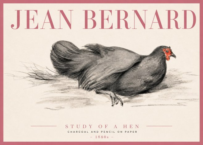 Jean Bernard Study of a Hen No3 - Affiche