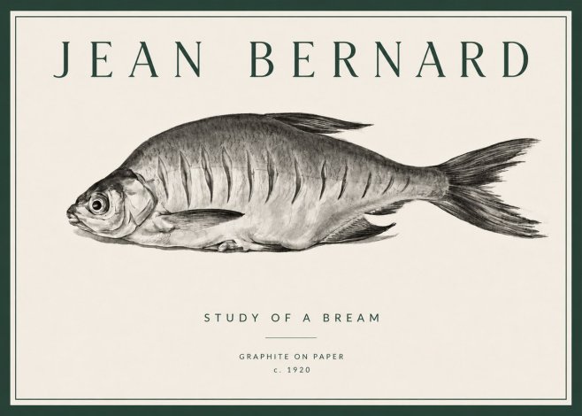 Jean Bernard Study of a Bream No3 - Affiche