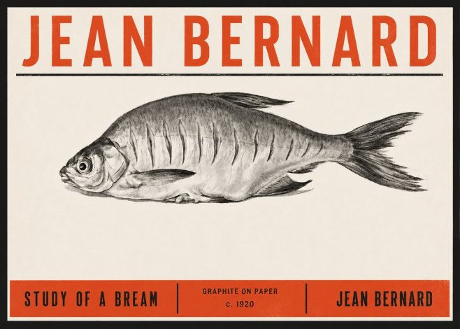 Jean Bernard Study of a Bream No6 - Affiche