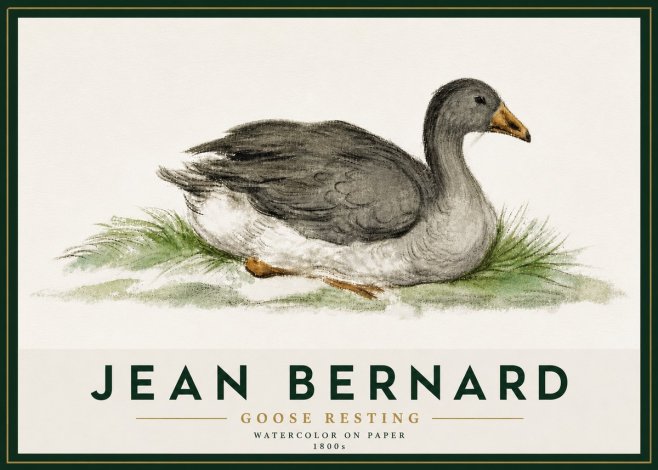 Jean Bernard Goose Resting No5 - Affiche