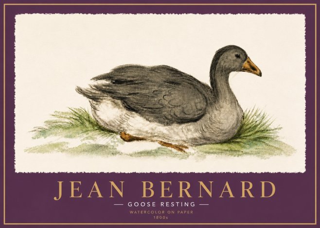Jean Bernard Goose Resting No6 - Affiche