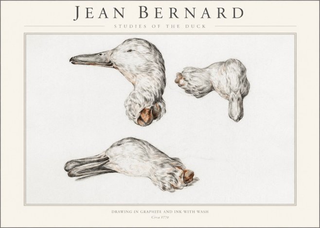 Jean Bernard Studies of the Duck No1 - Affiche