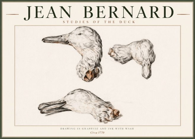 Jean Bernard Studies of the Duck No4 - Affiche