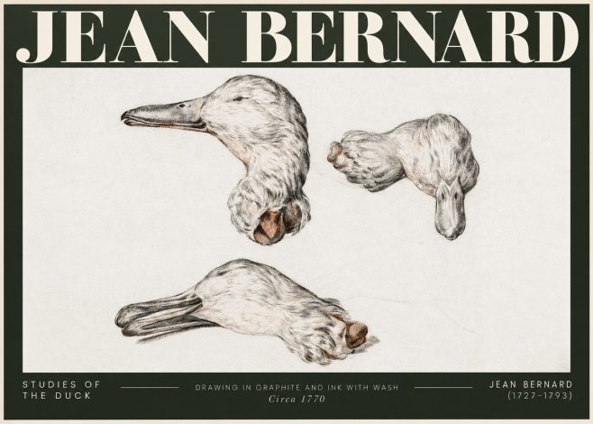Jean Bernard Studies of the Duck No5 - Affiche