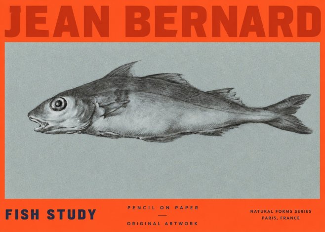 Jean Bernard Fish Study I No2 - Affiche