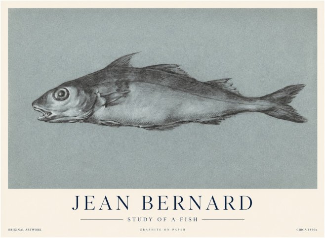 Jean Bernard Fish Study I No4 - Affiche