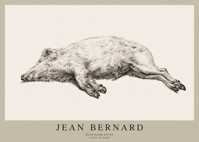 Jean Bernard Wild Boar Study No1 - Affiche
