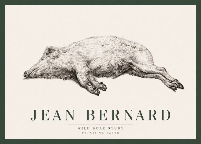 Jean Bernard Wild Boar Study No2 - Affiche