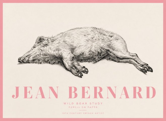 Jean Bernard Wild Boar Study No5 - Affiche
