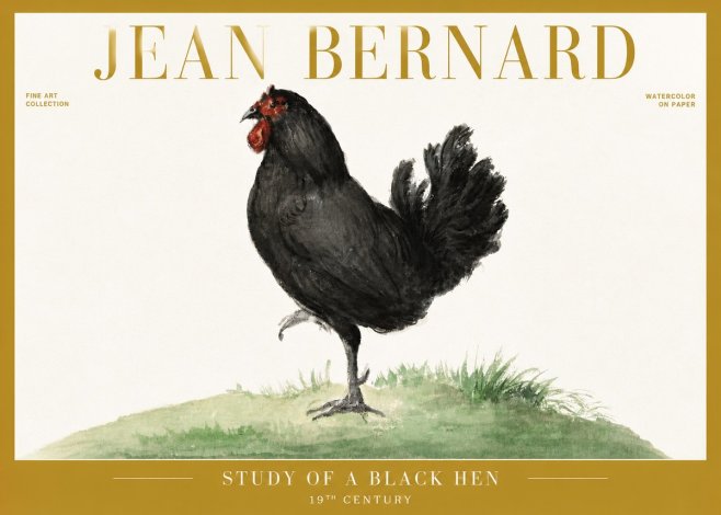 Jean Bernard Study of a Black Hen No6 - Affiche