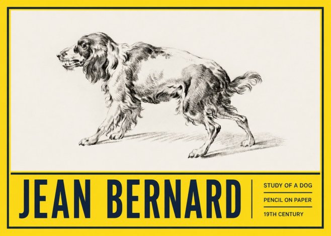 Jean Bernard Study of a Dog V No5 - Affiche