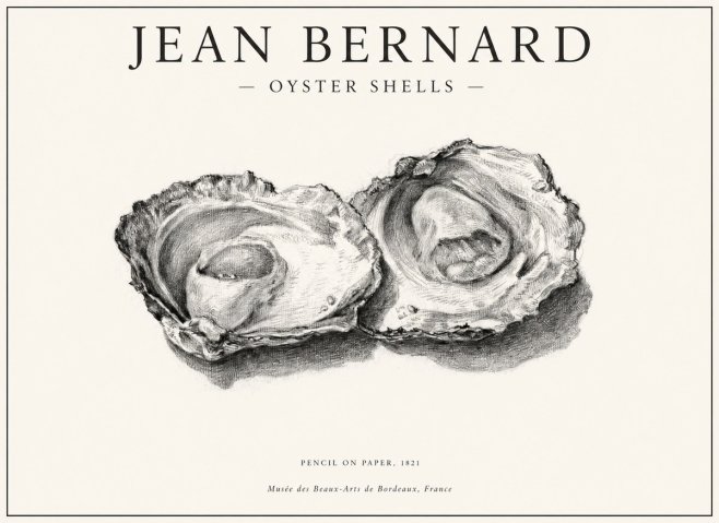 Jean Bernard Study of Oyster Shells No6 - Affiche