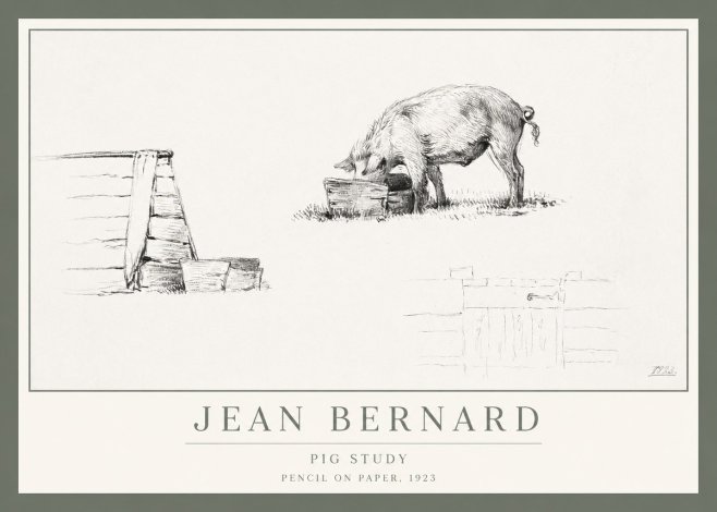 Jean Bernard Pig Study No1 - Affiche