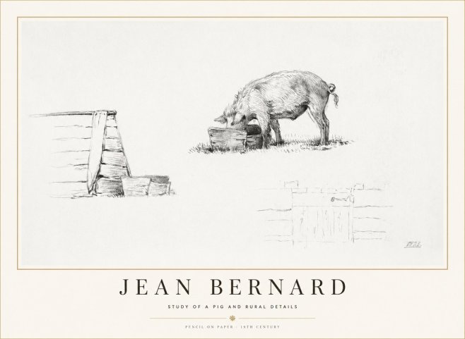 Jean Bernard Pig Study No2 - Affiche
