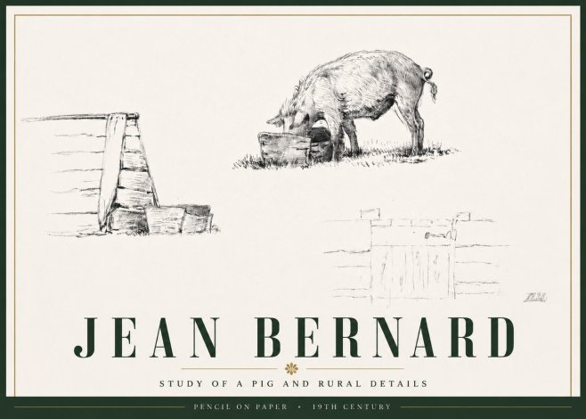 Jean Bernard Pig Study No6 - Affiche