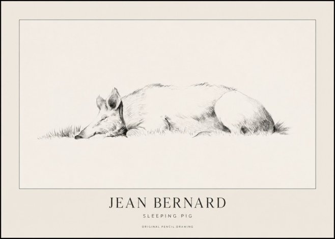 Jean Bernard Sleeping Pig II No1 - Affiche