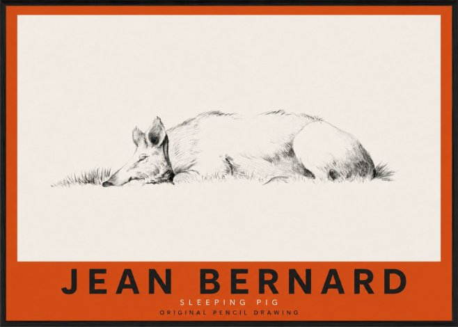 Jean Bernard Sleeping Pig II No3 - Affiche