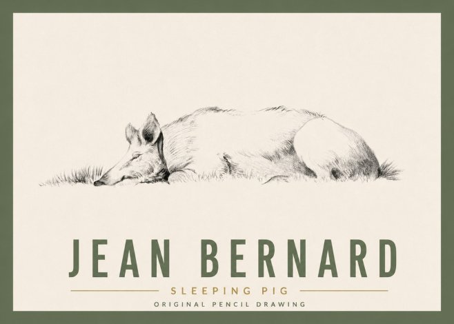 Jean Bernard Sleeping Pig II No5 - Affiche