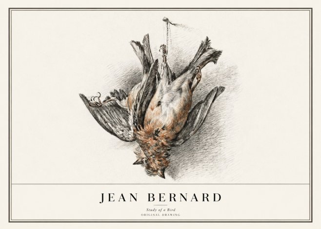 Jean Bernard Study of a Bird IV No1 - Affiche