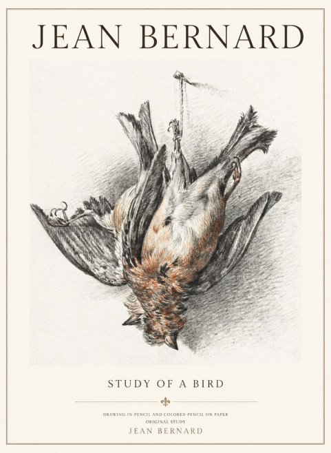 Jean Bernard Study of a Bird IV No3 - Affiche