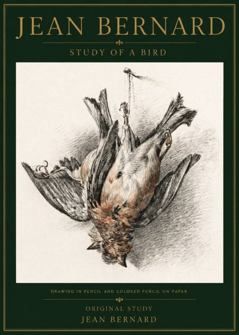 Jean Bernard Study of a Bird IV No5 - Affiche