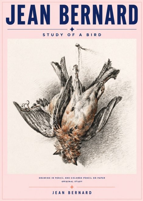 Jean Bernard Study of a Bird IV No6 - Affiche