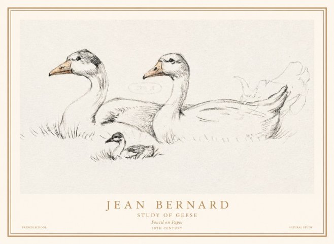 Jean Bernard Study of Geese No1 - Affiche