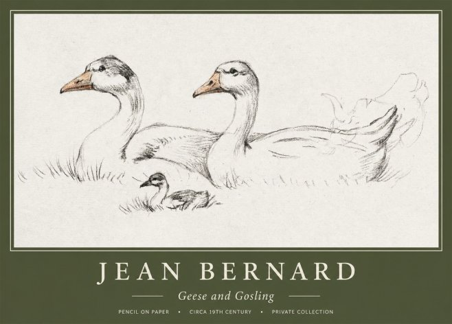 Jean Bernard Study of Geese No2 - Affiche
