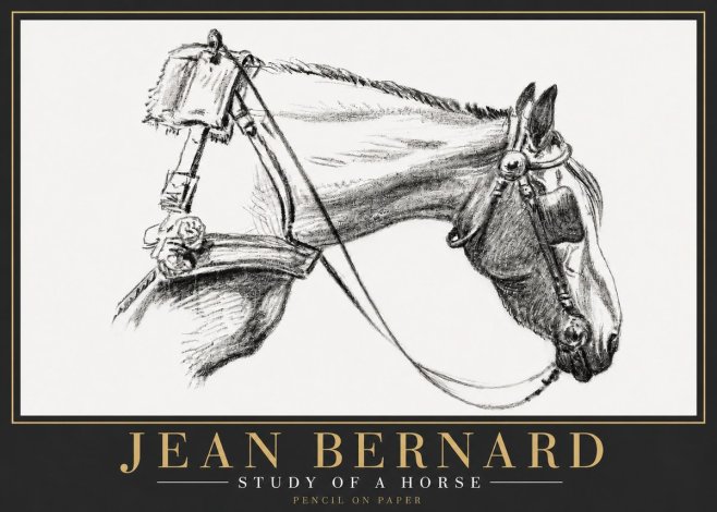 Jean Bernard Study of a Horse XVIII No6 - Affiche