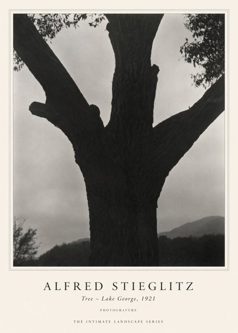 Alfred Stieglitz Tree - Lake George, 1921 No1 - Affiche