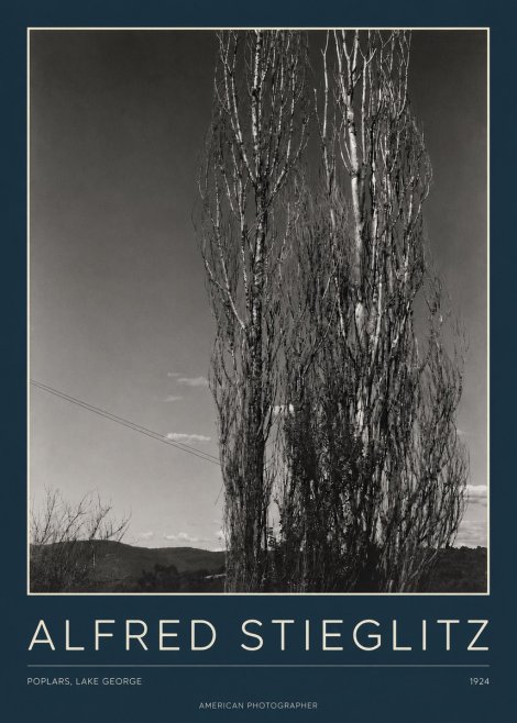 Alfred Stieglitz Trees - Lake George, 1921 No4 - Affiche