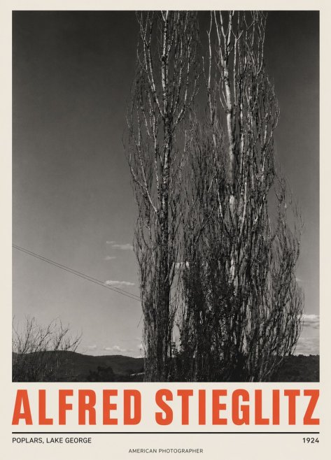 Alfred Stieglitz Trees - Lake George, 1921 No5 - Affiche