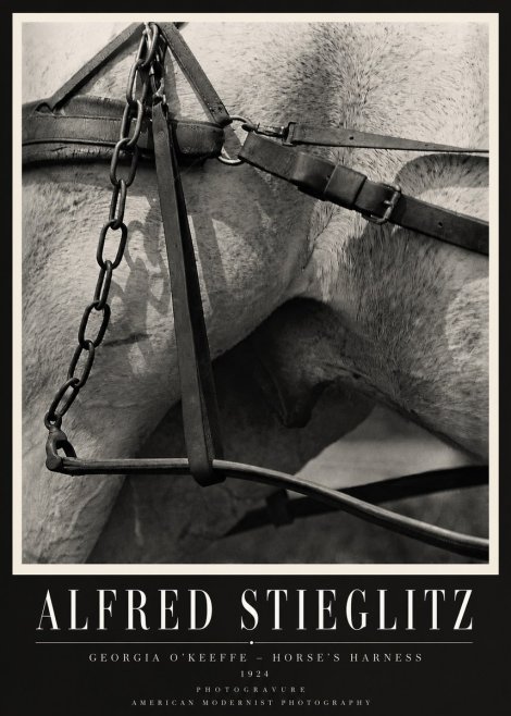 Alfred Stieglitz The Steerage I No4 - Affiche