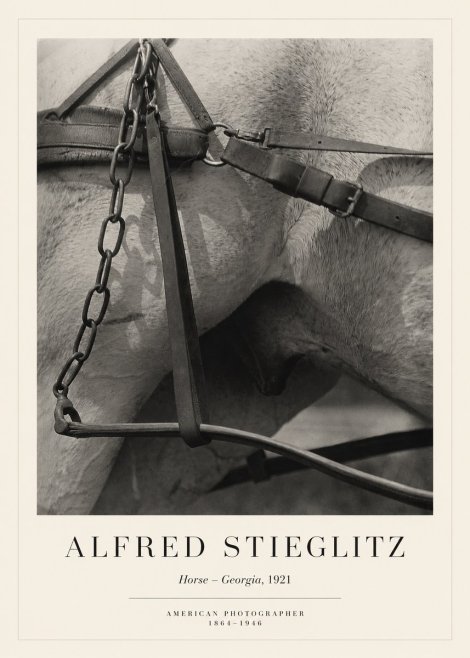 Alfred Stieglitz The Steerage I No6 - Affiche