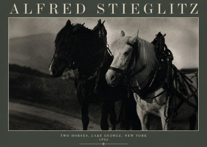 Alfred Stieglitz Two Horses, Lake George, New York No3 - Affiche
