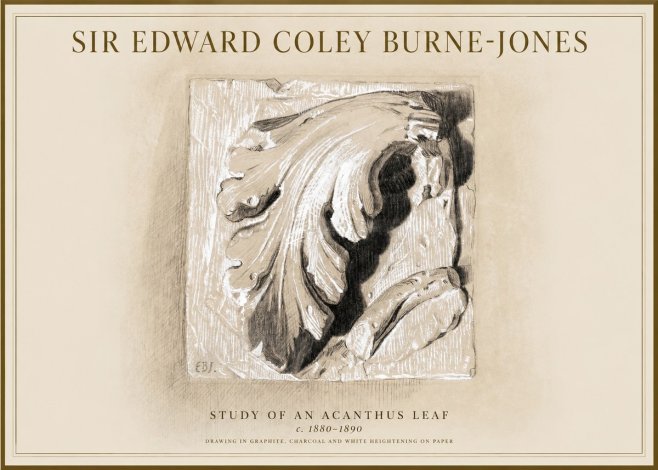 Edward Burne-Jones Study of an Acanthus Leaf No1 - Affiche