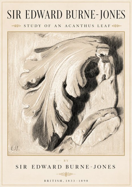Edward Burne-Jones Study of an Acanthus Leaf No2 - Affiche